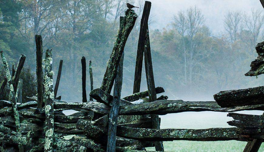 Aswan: A Serene Retreat